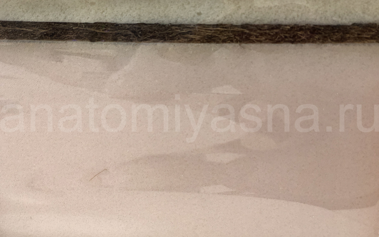 отзыв о Матрас Lonax Foam Mix Medium фото 6